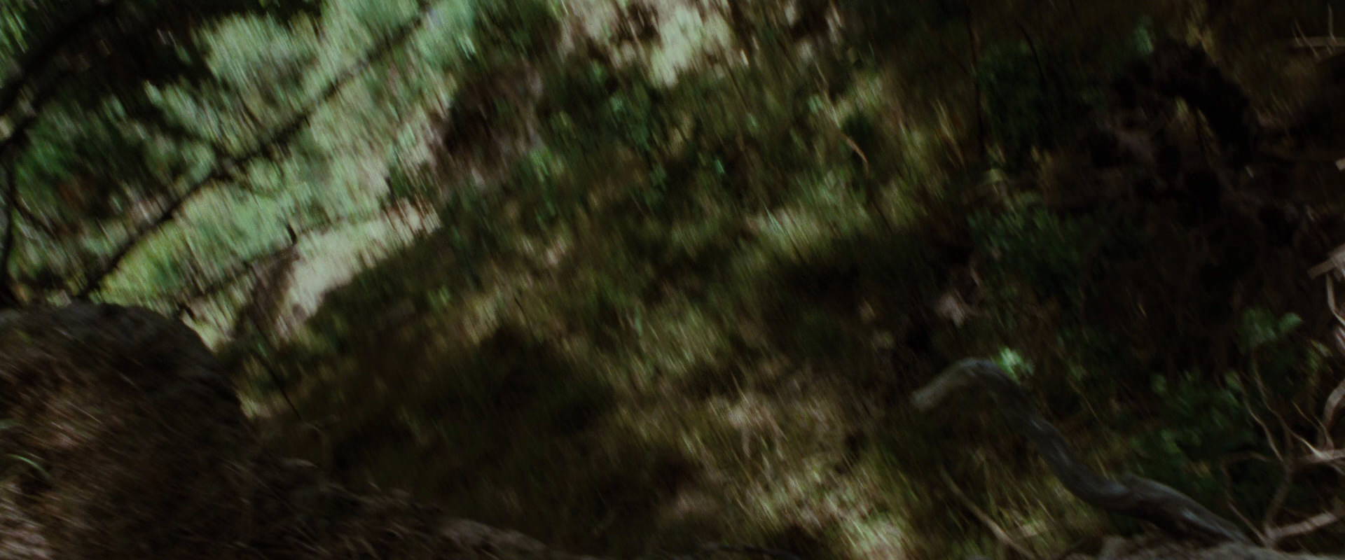 The Lord of the Rings: The Fellowship of the Ring (2001) HD screenshot 6056