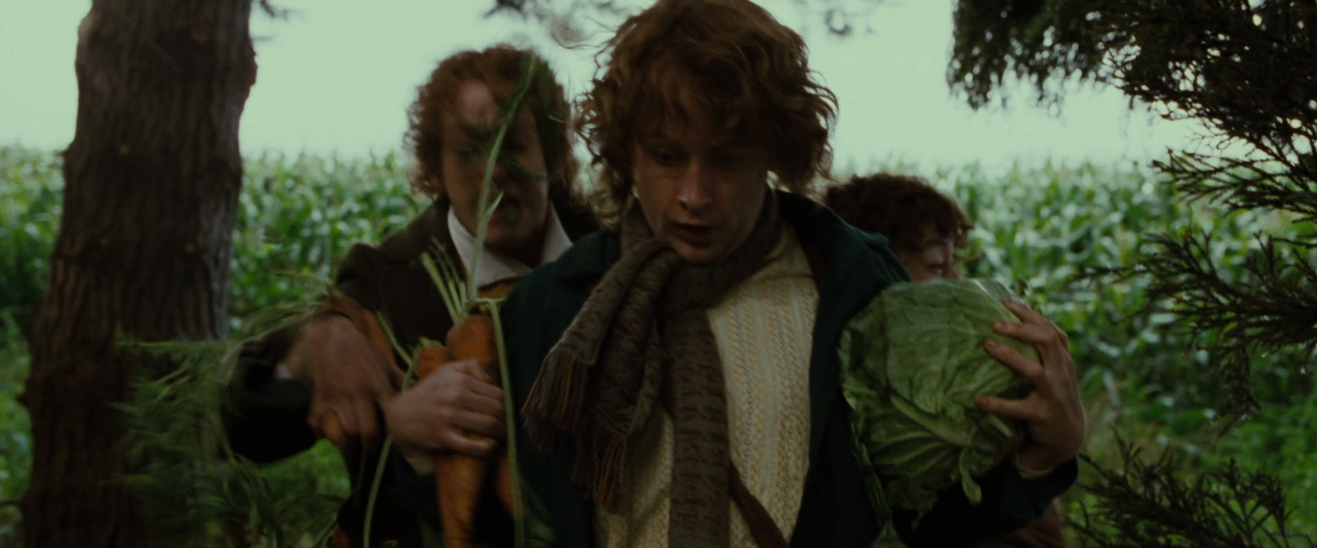The Lord of the Rings: The Fellowship of the Ring (2001) screencap 6057