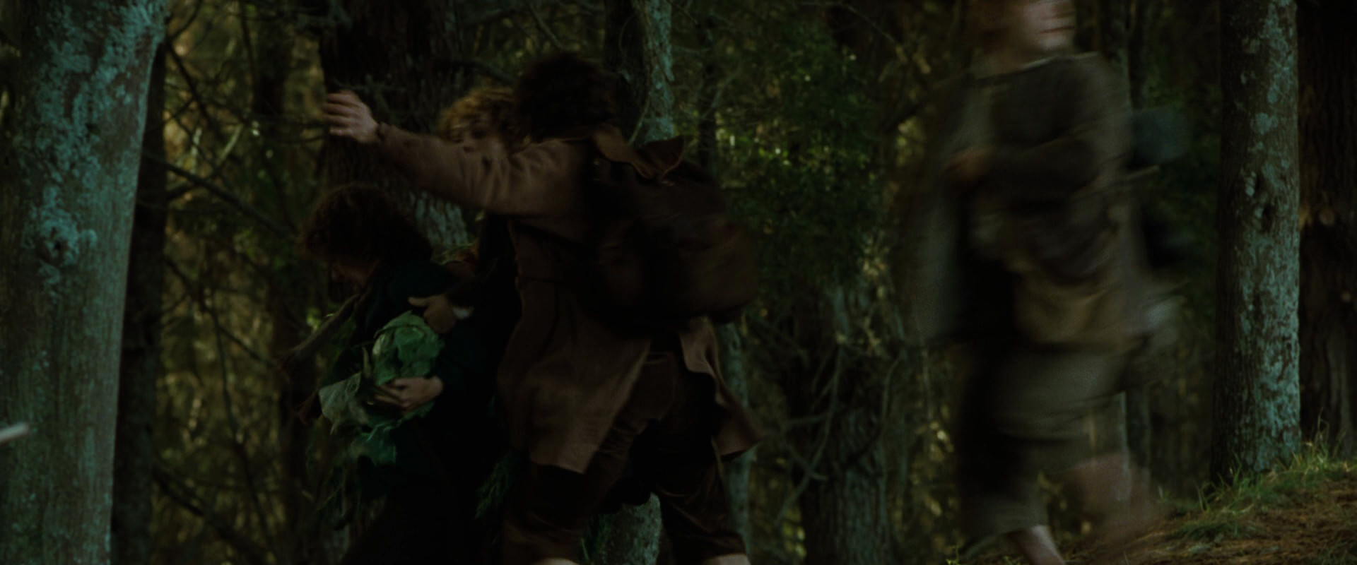 The Lord of the Rings: The Fellowship of the Ring (2001) movie still 6058