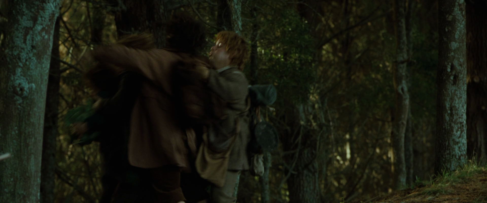 The Lord of the Rings: The Fellowship of the Ring (2001) HD screenshot 6059