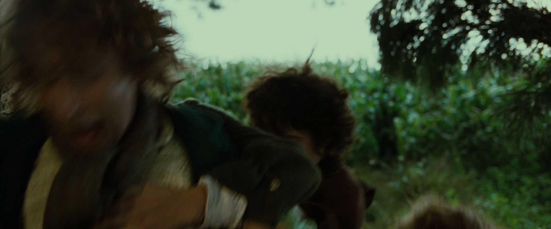 The Lord of the Rings: The Fellowship of the Ring (2001) screencap 6060