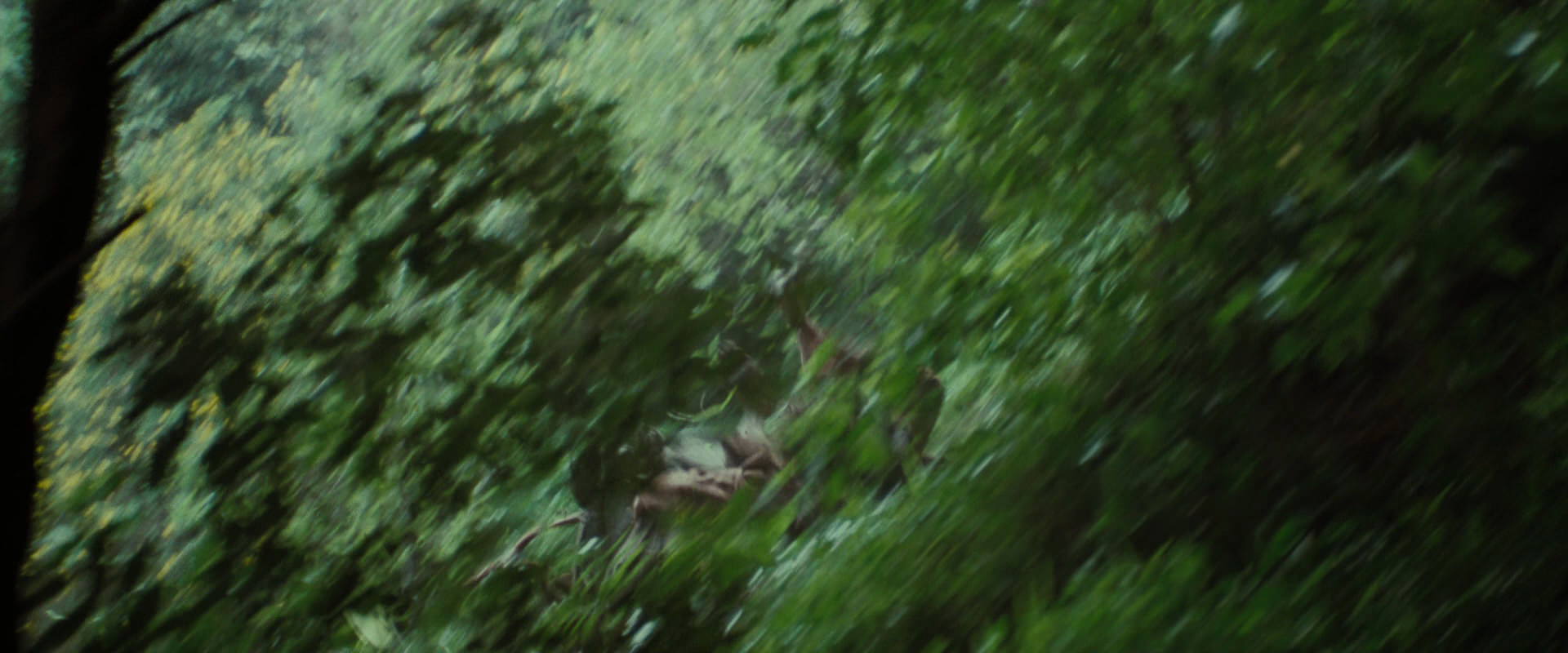 The Lord of the Rings: The Fellowship of the Ring (2001) HD screenshot 6062