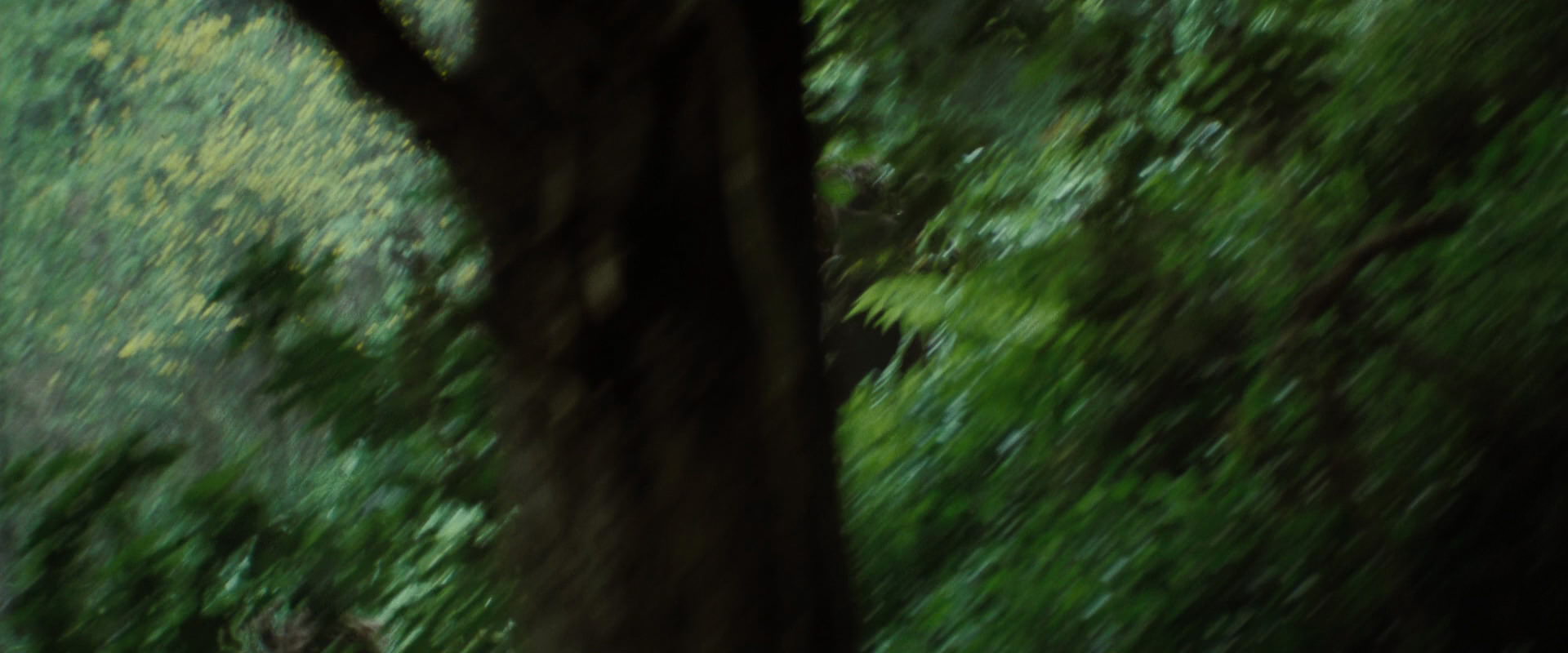 The Lord of the Rings: The Fellowship of the Ring (2001) screencap 6063