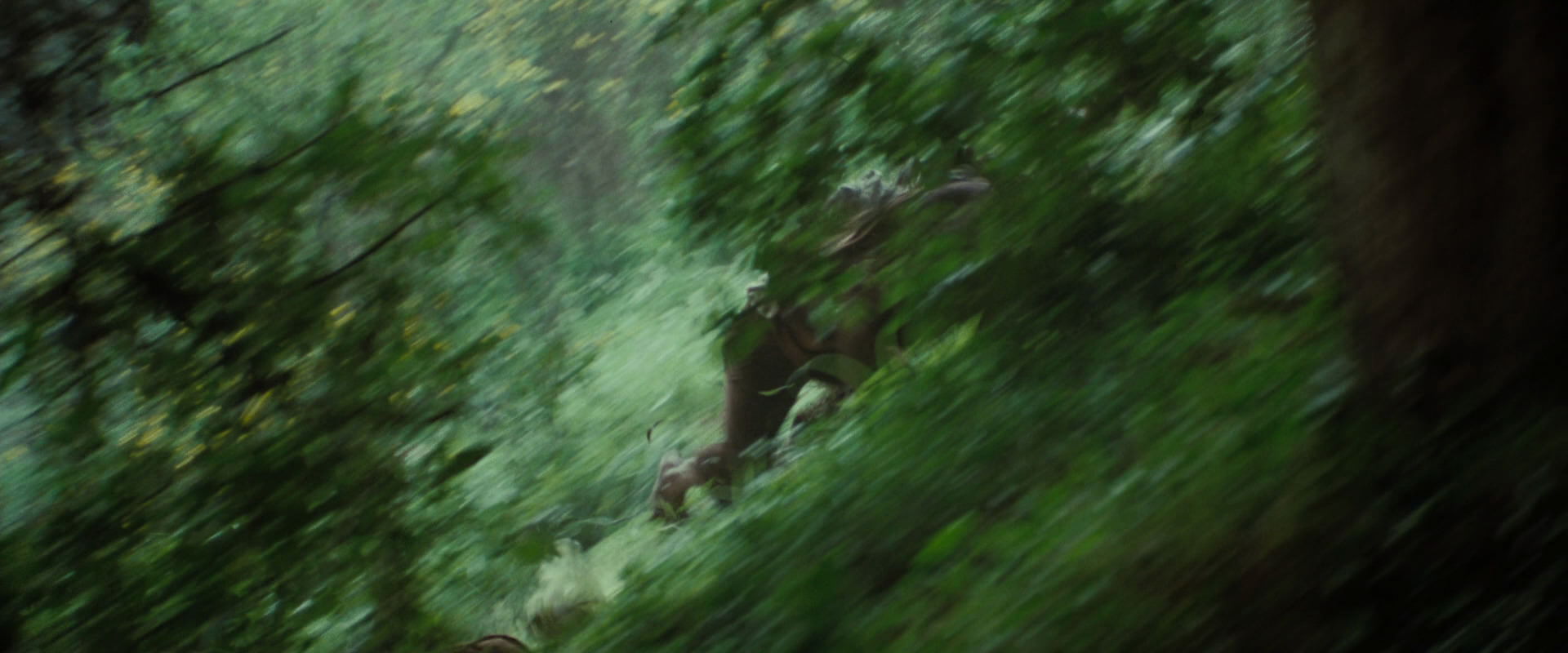 The Lord of the Rings: The Fellowship of the Ring (2001) movie still 6064