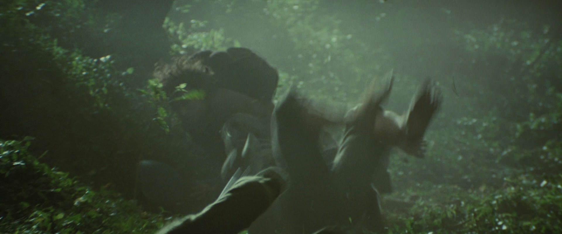 The Lord of the Rings: The Fellowship of the Ring (2001) HD screenshot 6065