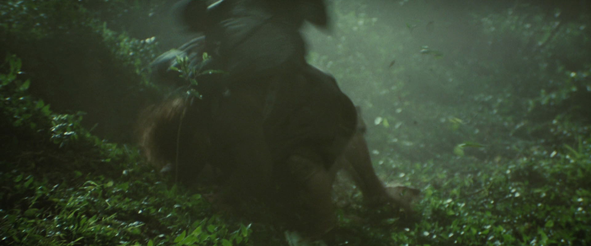 The Lord of the Rings: The Fellowship of the Ring (2001) screencap 6066