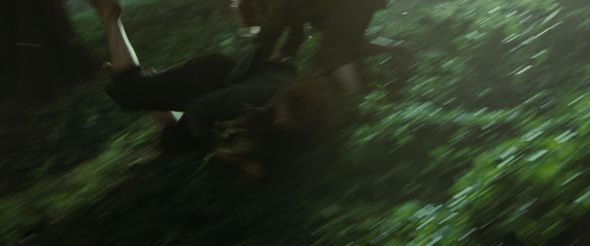 The Lord of the Rings: The Fellowship of the Ring (2001) screencap 6069