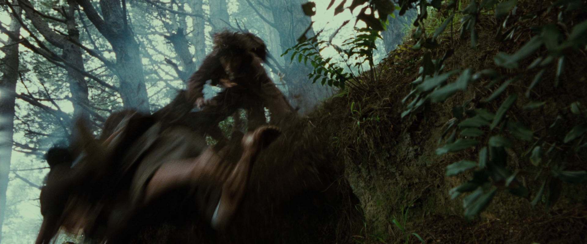 The Lord of the Rings: The Fellowship of the Ring (2001) HD screenshot 6071