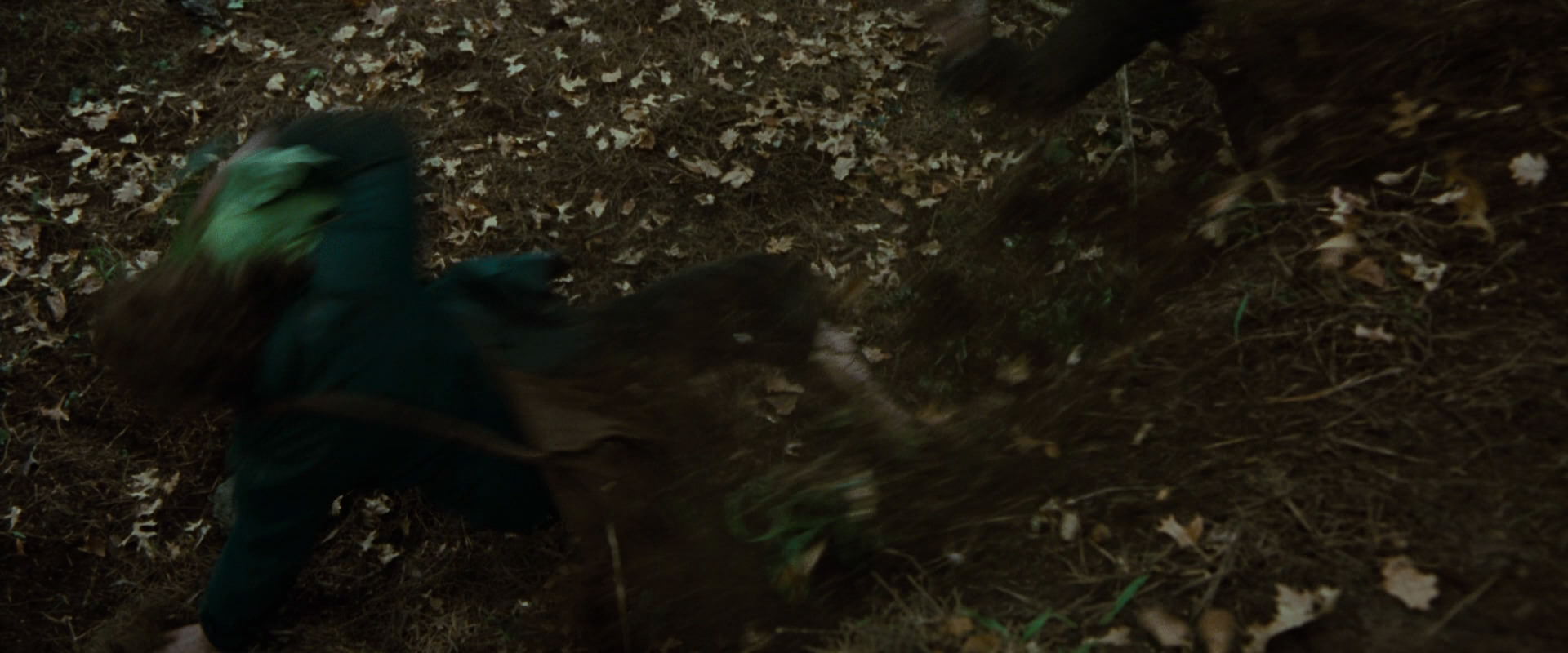 The Lord of the Rings: The Fellowship of the Ring (2001) screencap 6072