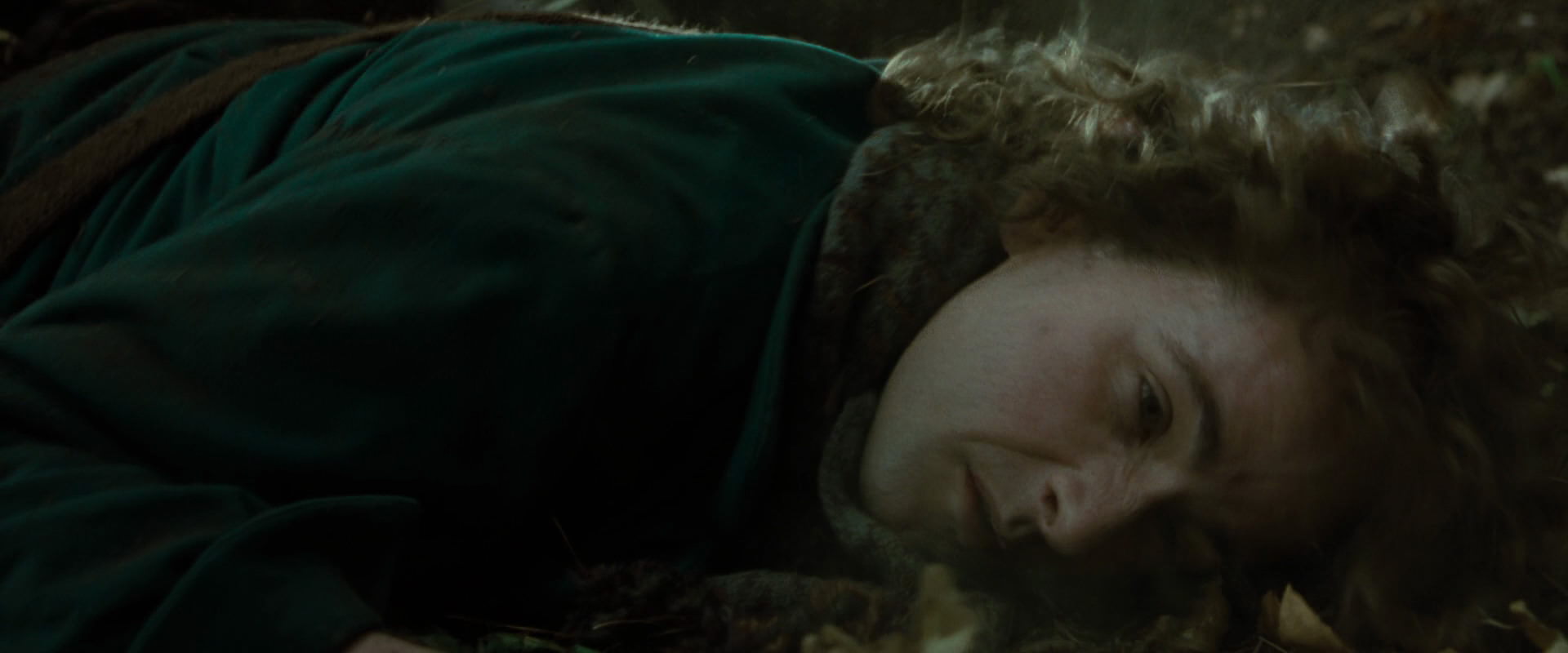 The Lord of the Rings: The Fellowship of the Ring (2001) movie still 6073