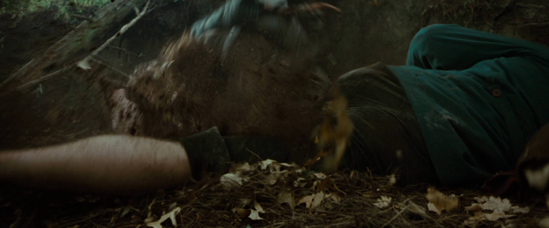 The Lord of the Rings: The Fellowship of the Ring (2001) HD screenshot 6074