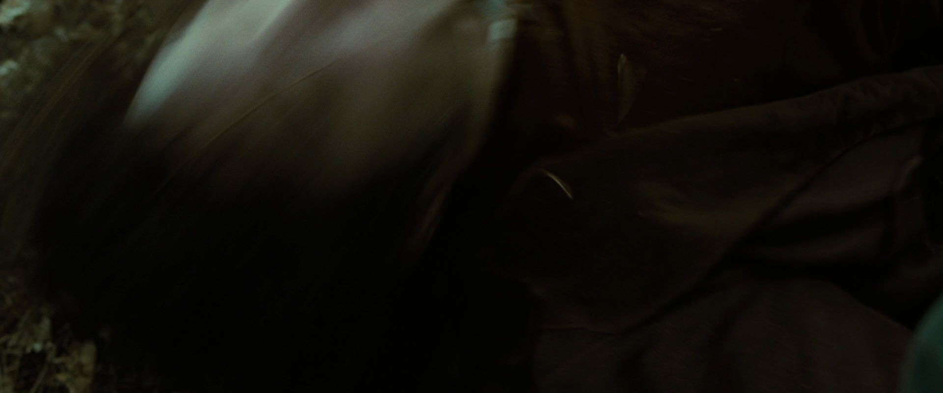 The Lord of the Rings: The Fellowship of the Ring (2001) movie still 6076
