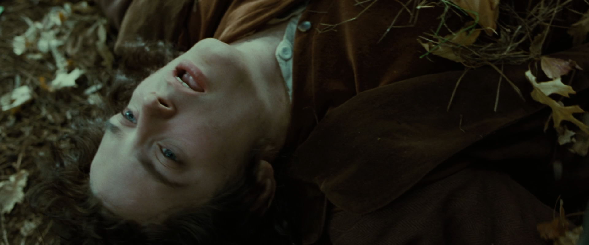 The Lord of the Rings: The Fellowship of the Ring (2001) HD screenshot 6077