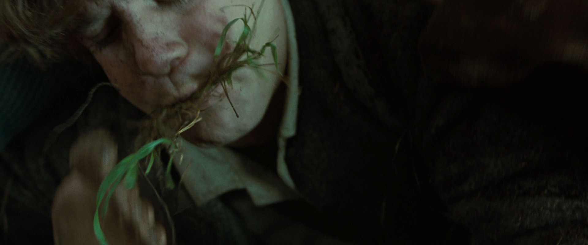The Lord of the Rings: The Fellowship of the Ring (2001) screencap 6078