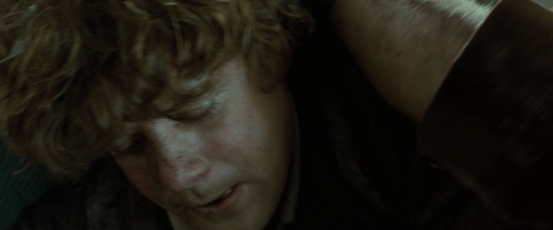 The Lord of the Rings: The Fellowship of the Ring (2001) movie still 6079