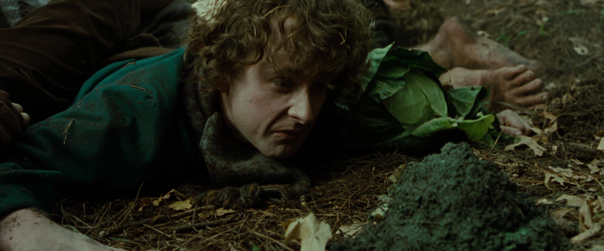 The Lord of the Rings: The Fellowship of the Ring (2001) screencap 6081