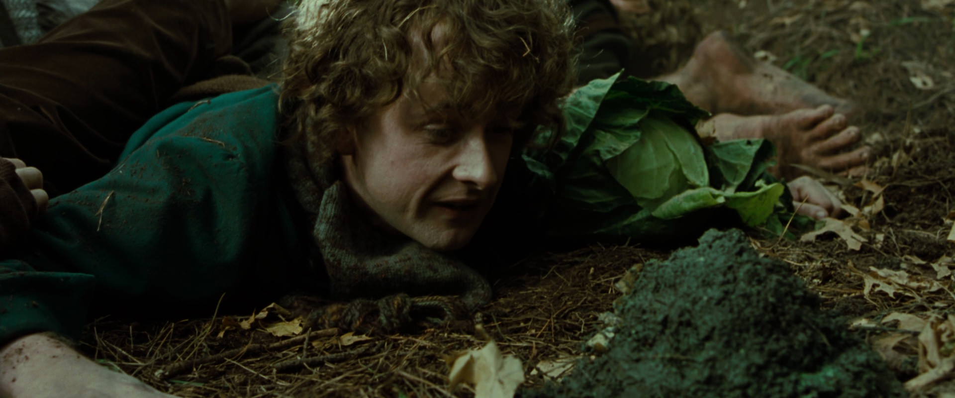 The Lord of the Rings: The Fellowship of the Ring (2001) movie still 6082