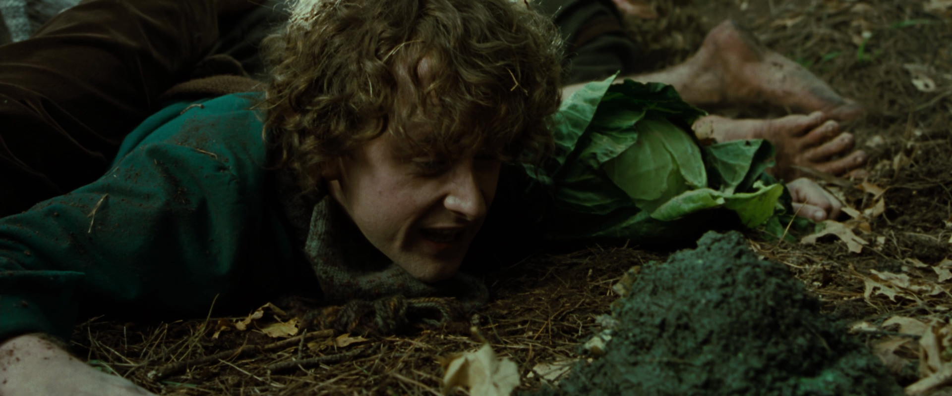 The Lord of the Rings: The Fellowship of the Ring (2001) screencap 6084