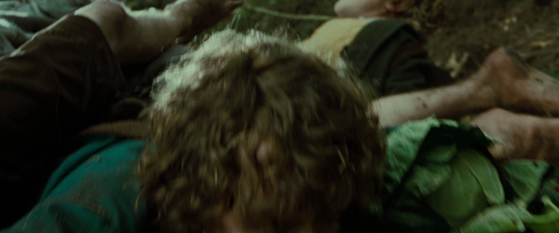 The Lord of the Rings: The Fellowship of the Ring (2001) HD screenshot 6086