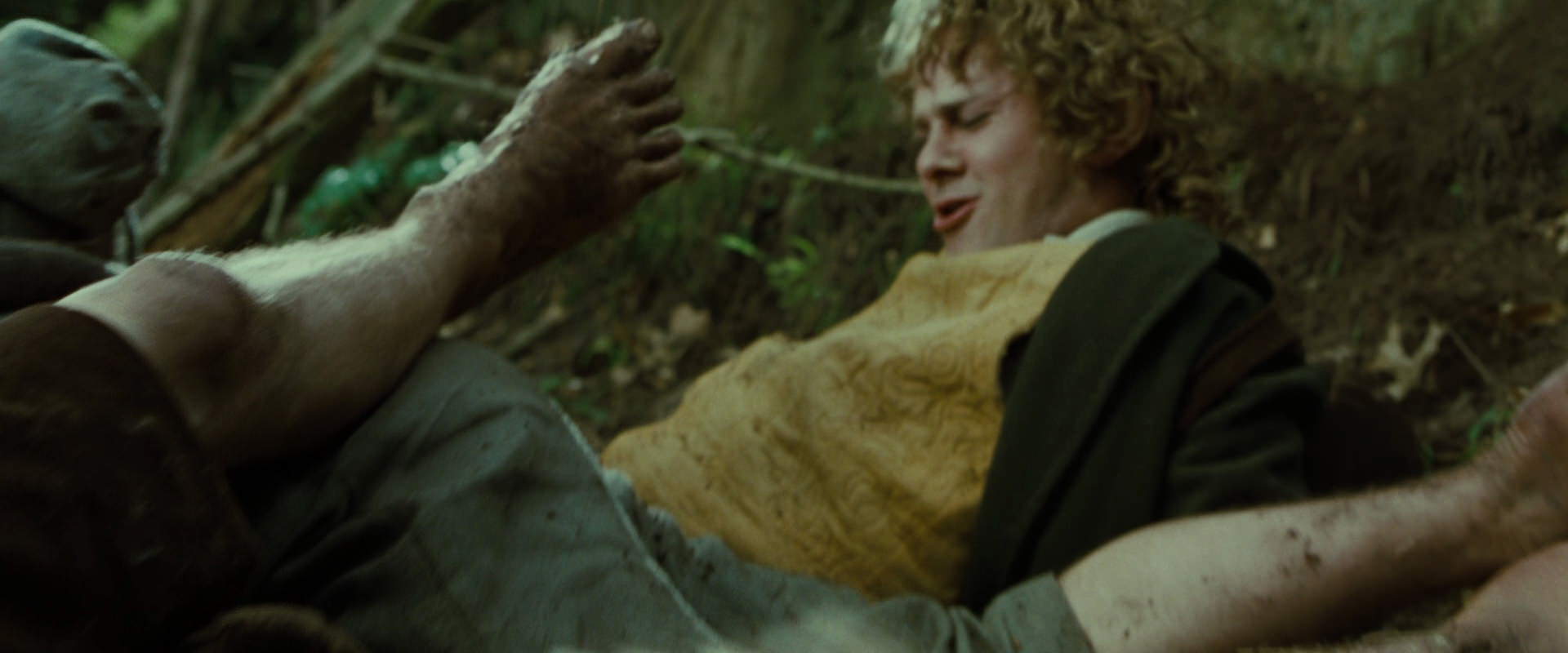 The Lord of the Rings: The Fellowship of the Ring (2001) screencap 6087