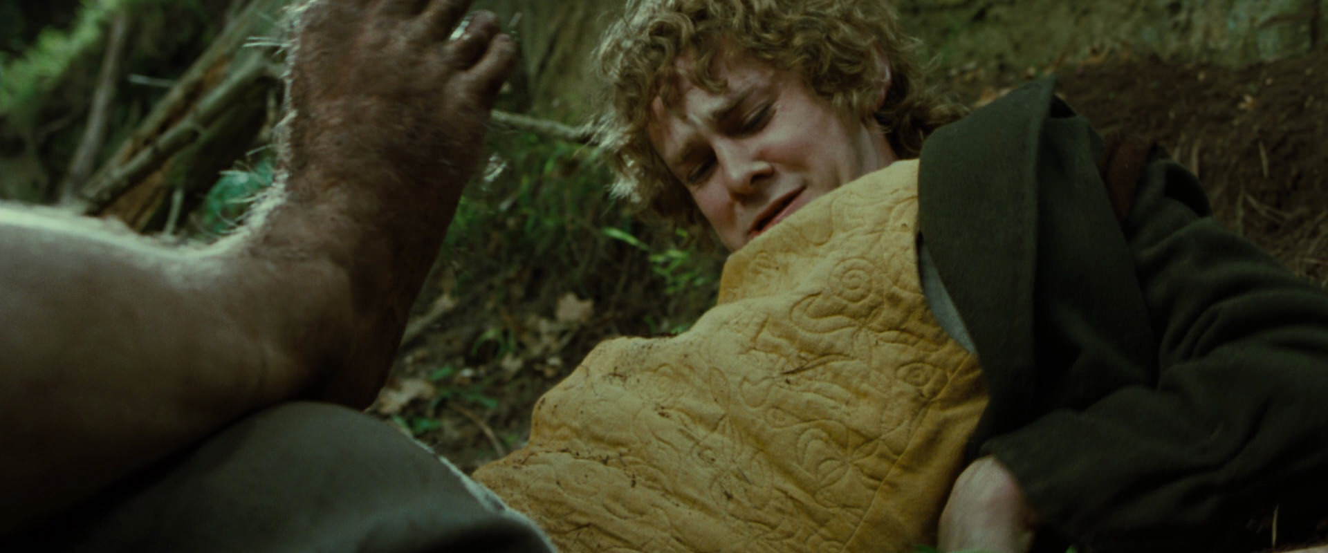 The Lord of the Rings: The Fellowship of the Ring (2001) screencap 6093