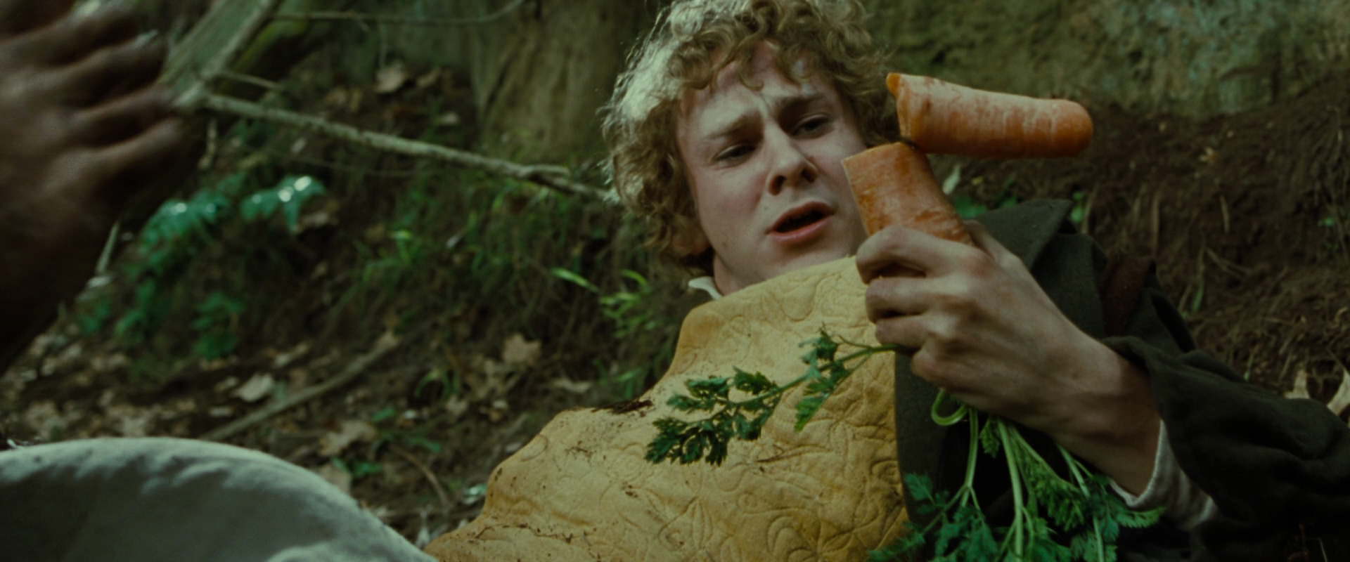 The Lord of the Rings: The Fellowship of the Ring (2001) screencap 6096