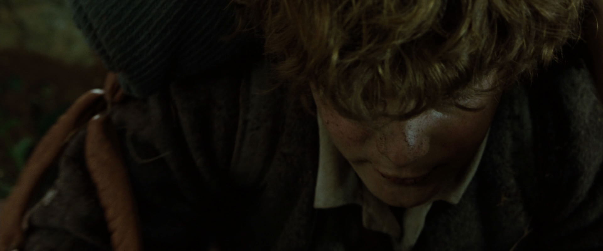 The Lord of the Rings: The Fellowship of the Ring (2001) screencap 6099