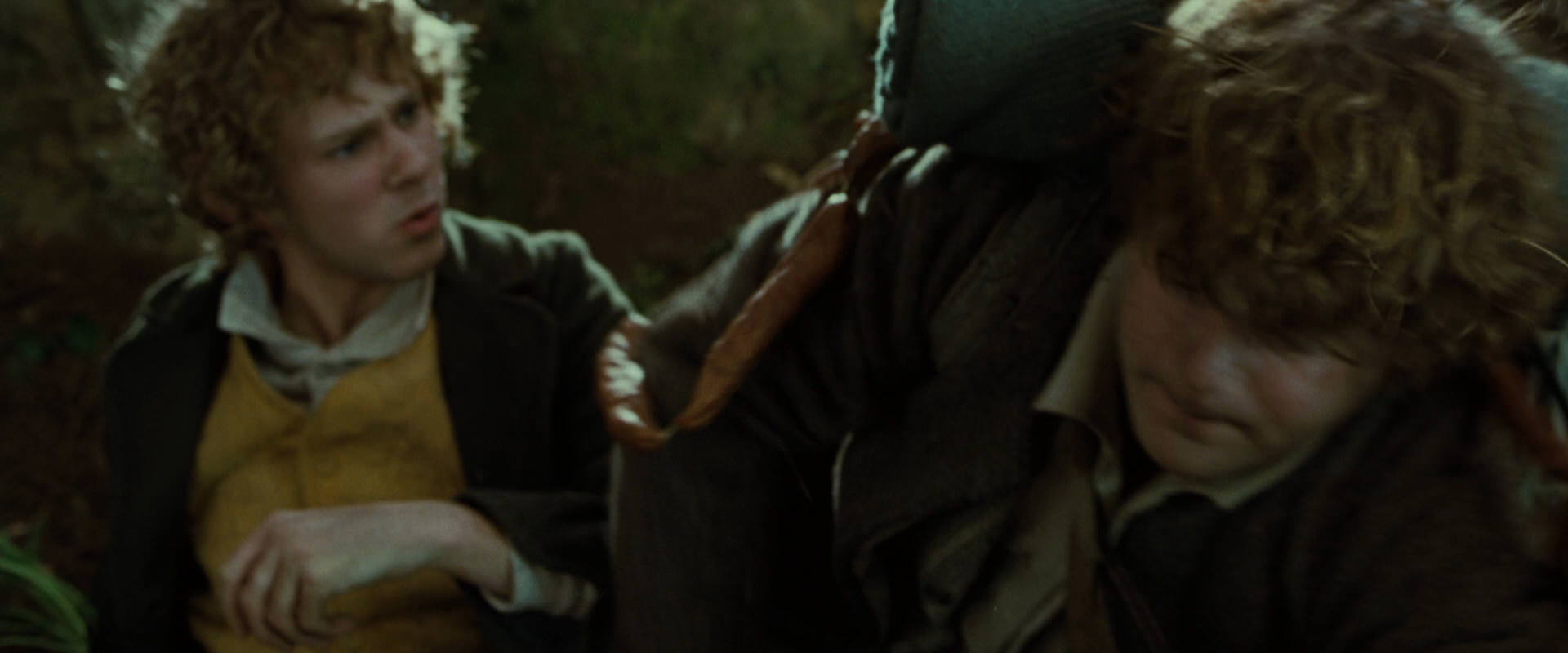 The Lord of the Rings: The Fellowship of the Ring (2001) screencap 6102