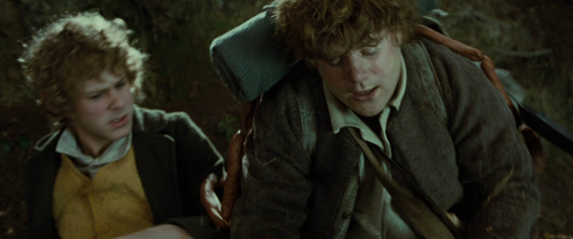 The Lord of the Rings: The Fellowship of the Ring (2001) movie still 6103