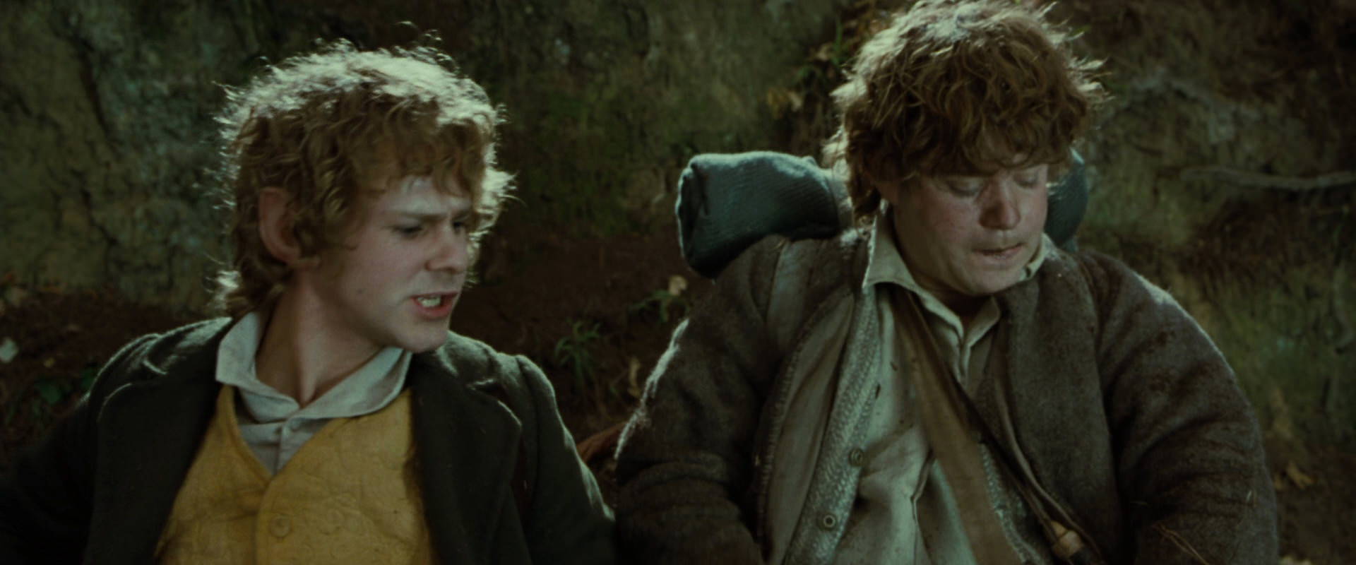 The Lord of the Rings: The Fellowship of the Ring (2001) screencap 6105