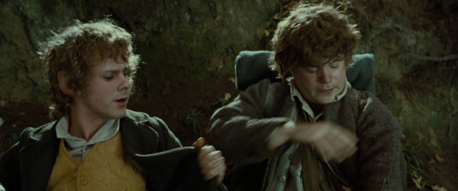 The Lord of the Rings: The Fellowship of the Ring (2001) movie still 6106