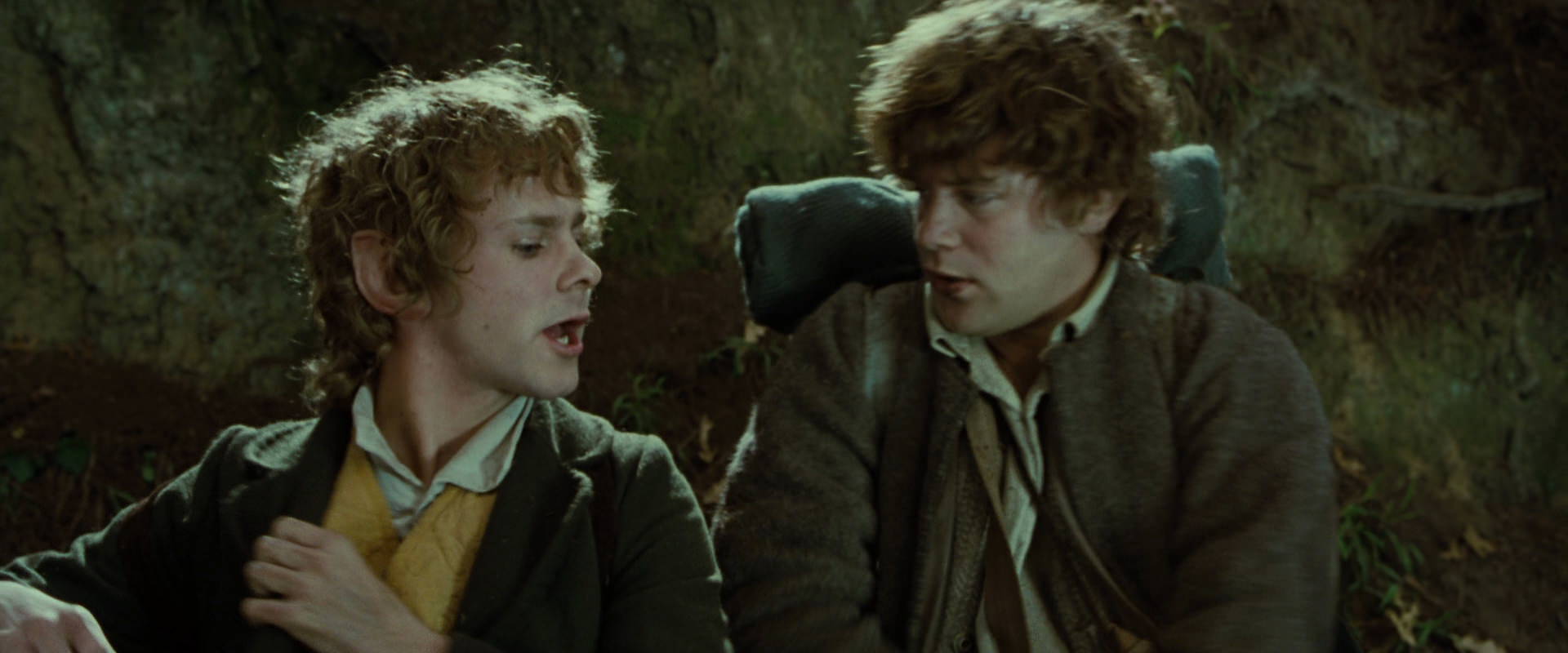 The Lord of the Rings: The Fellowship of the Ring (2001) screencap 6108
