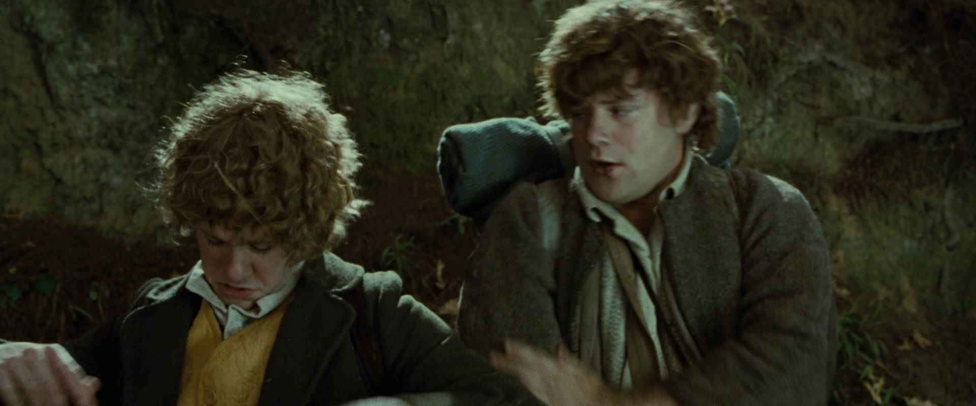 The Lord of the Rings: The Fellowship of the Ring (2001) movie still 6109