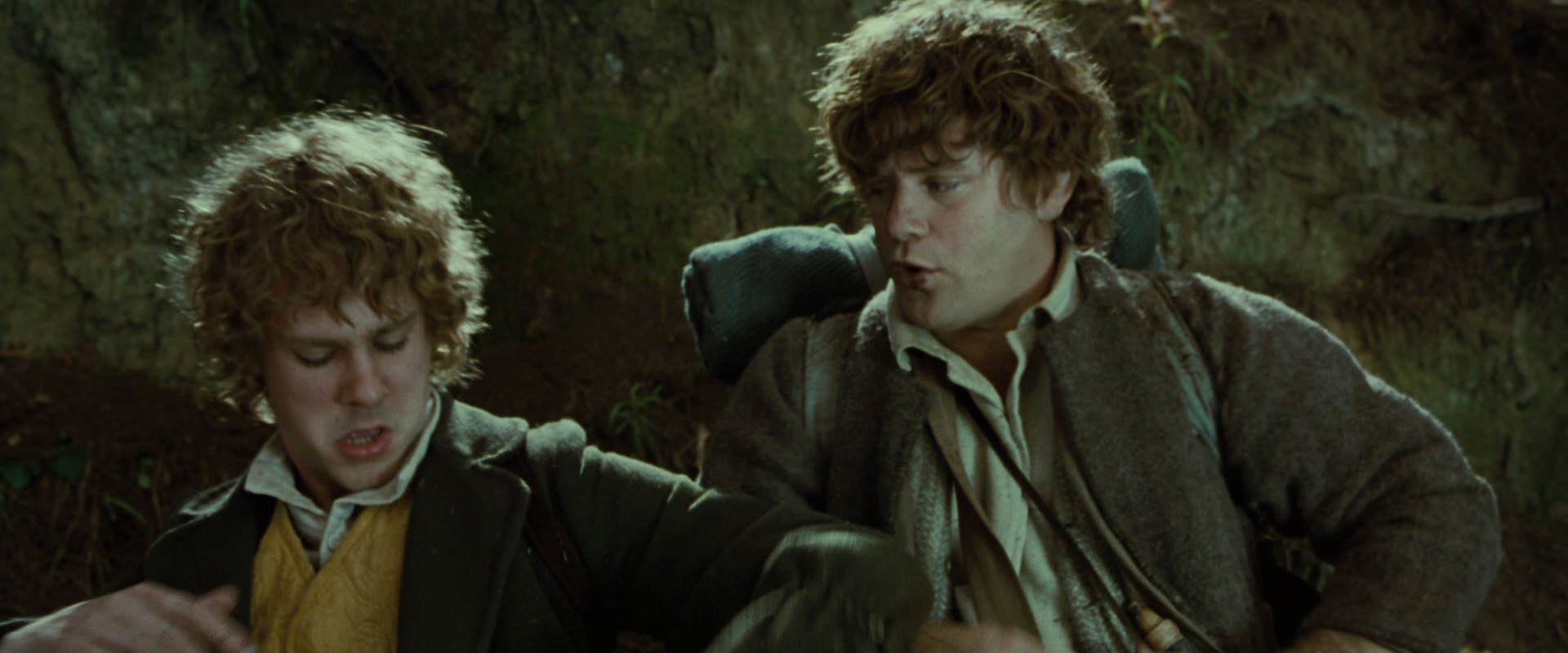 The Lord of the Rings: The Fellowship of the Ring (2001) HD screenshot 6110