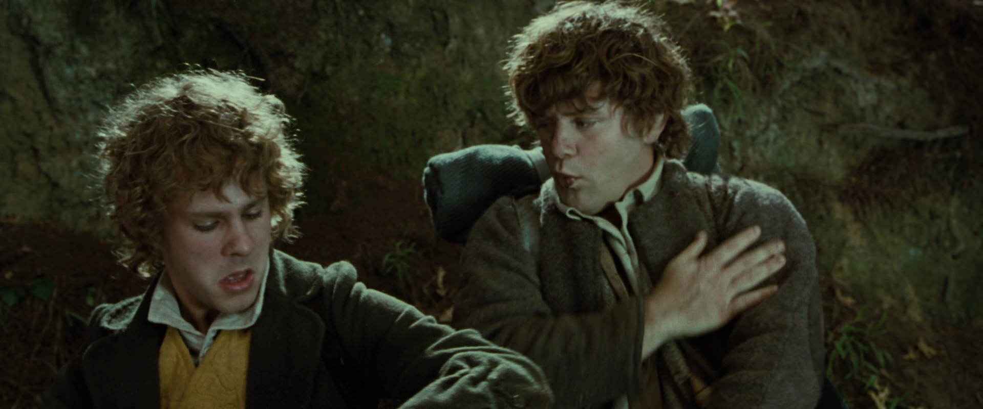 The Lord of the Rings: The Fellowship of the Ring (2001) screencap 6111