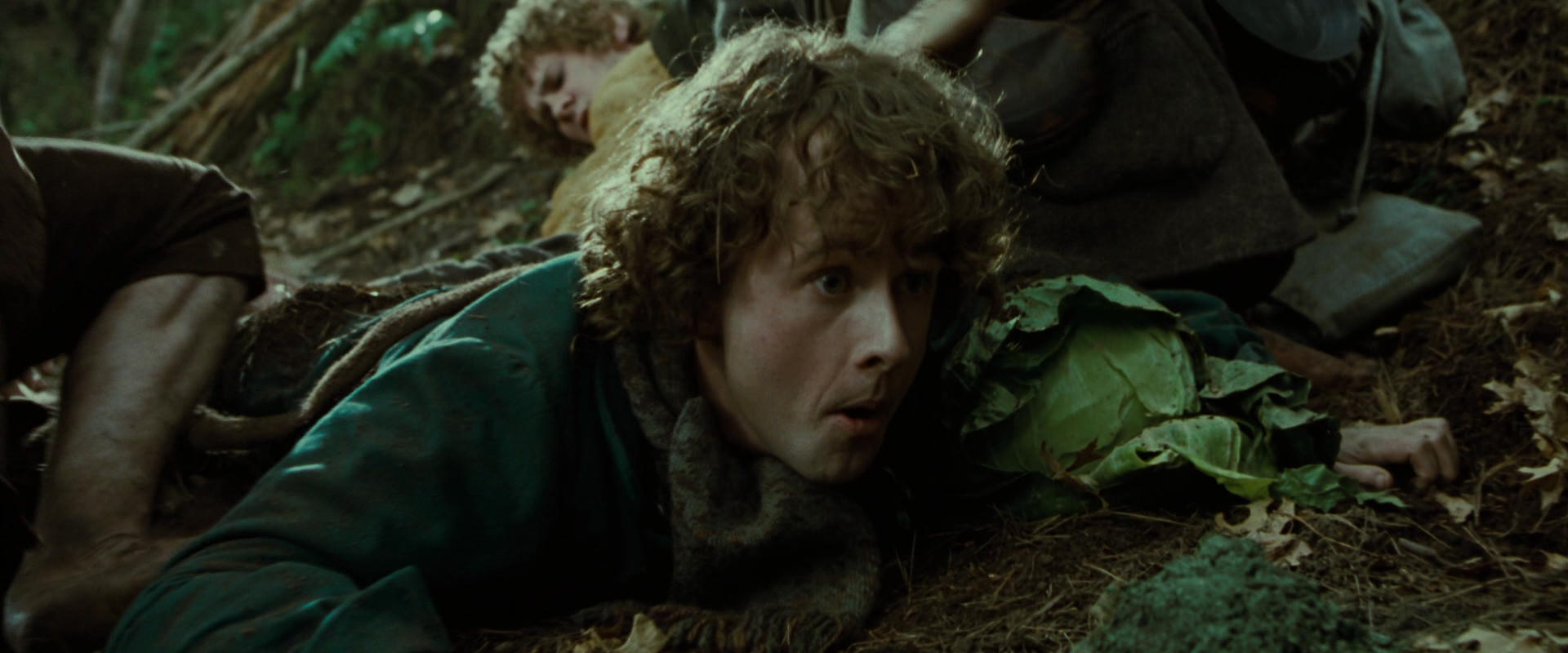 The Lord of the Rings: The Fellowship of the Ring (2001) movie still 6112