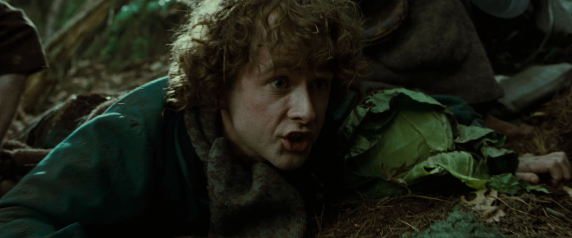 The Lord of the Rings: The Fellowship of the Ring (2001) HD screenshot 6113