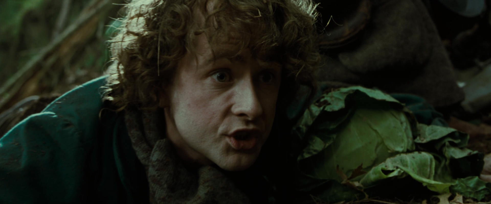 The Lord of the Rings: The Fellowship of the Ring (2001) screencap 6114