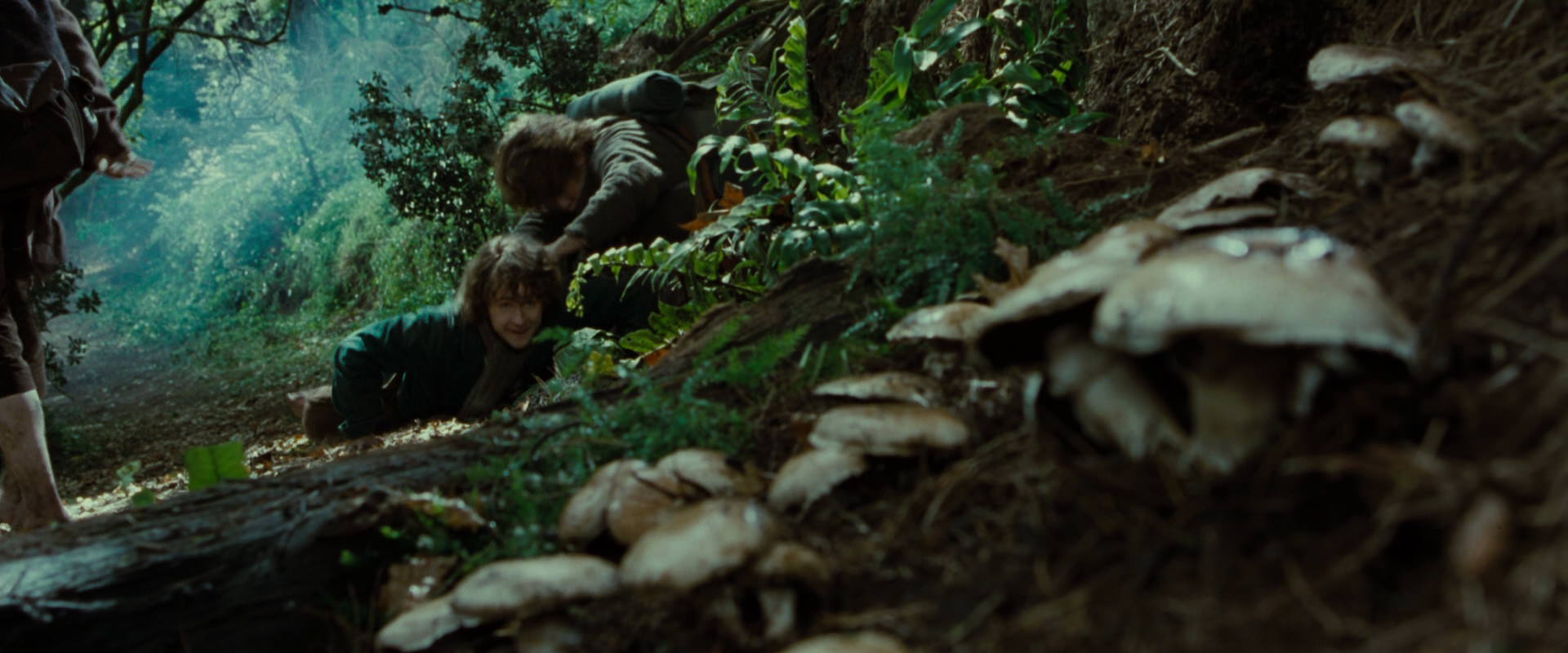 The Lord of the Rings: The Fellowship of the Ring (2001) movie still 6115