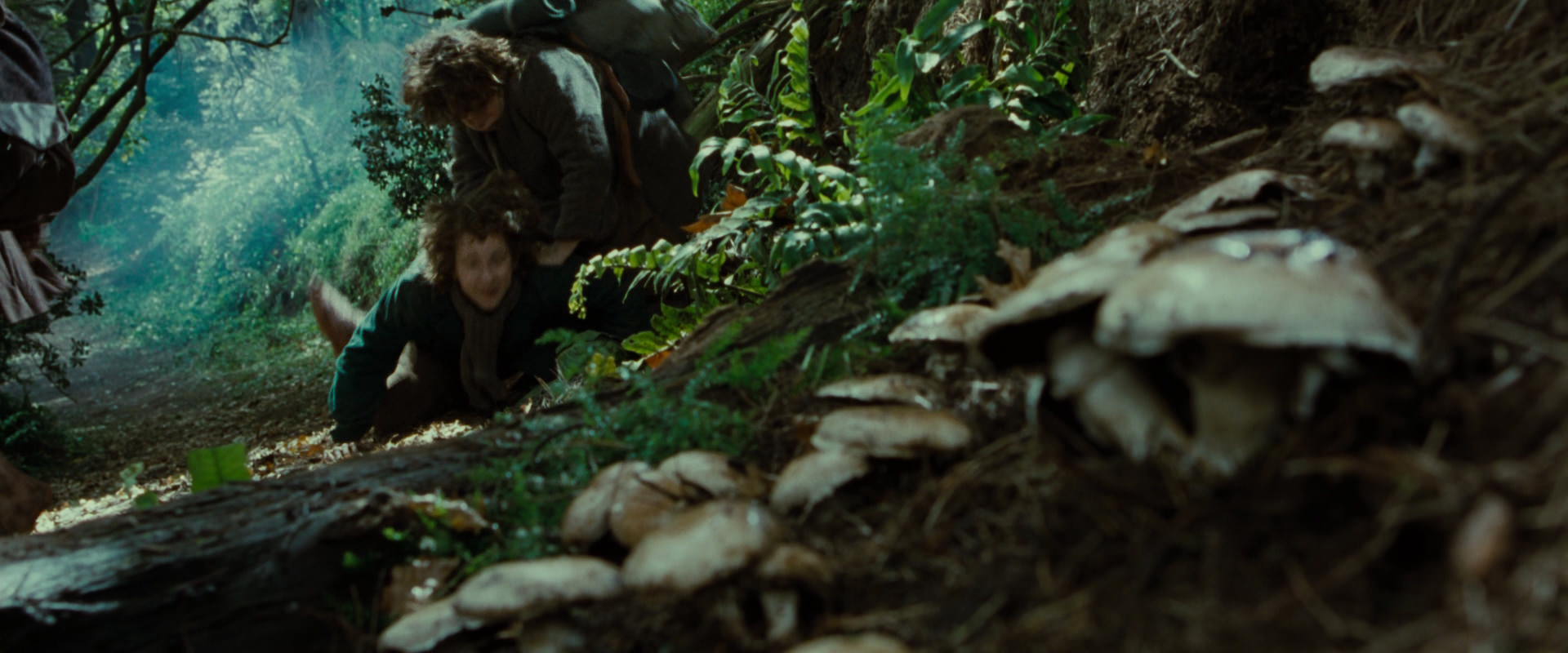 The Lord of the Rings: The Fellowship of the Ring (2001) HD screenshot 6116
