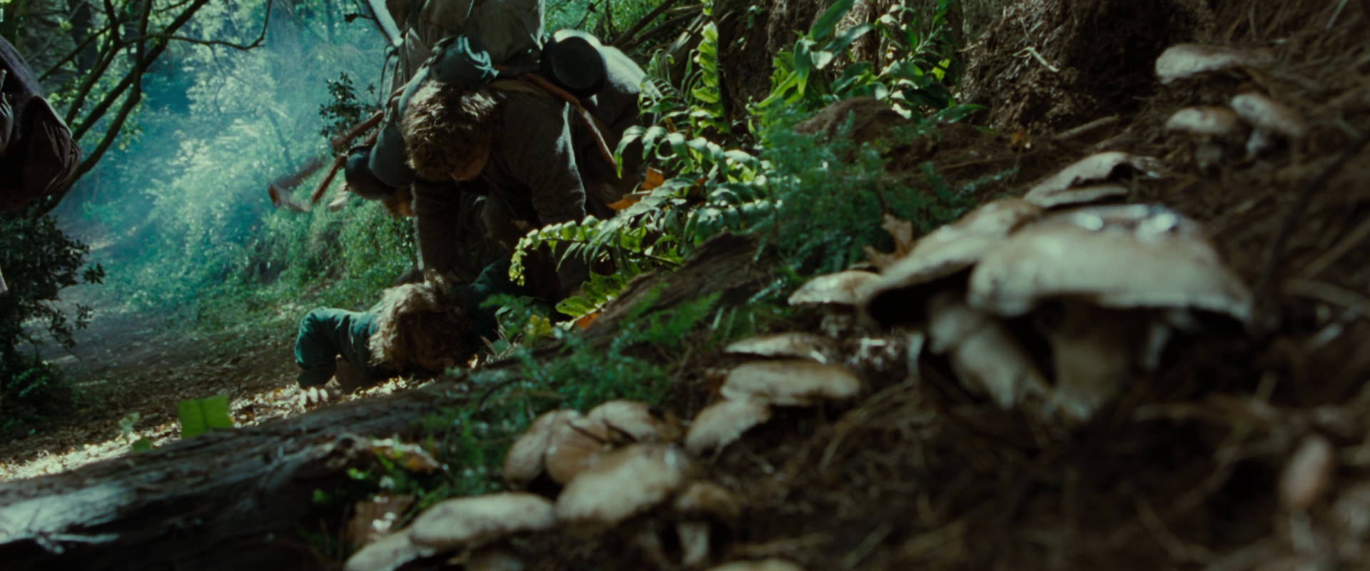 The Lord of the Rings: The Fellowship of the Ring (2001) screencap 6117