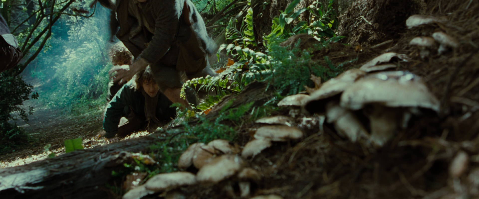 The Lord of the Rings: The Fellowship of the Ring (2001) movie still 6118