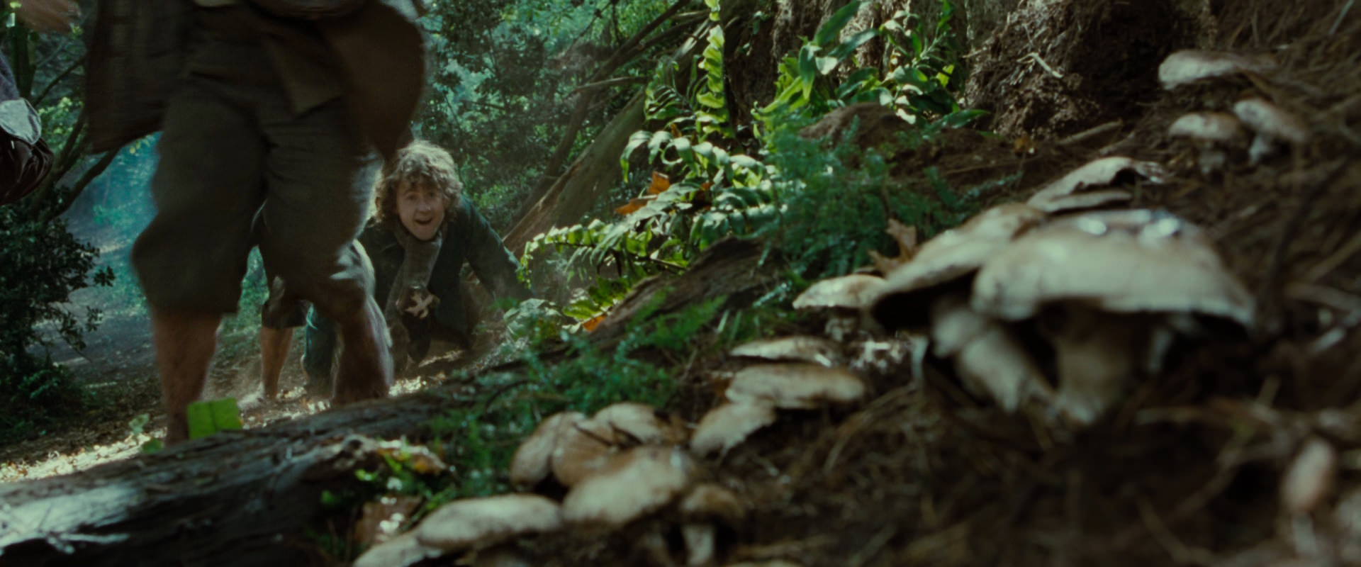 The Lord of the Rings: The Fellowship of the Ring (2001) HD screenshot 6119