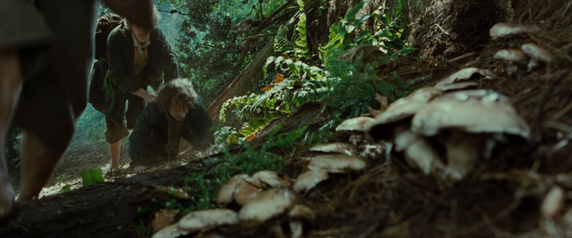 The Lord of the Rings: The Fellowship of the Ring (2001) screencap 6120
