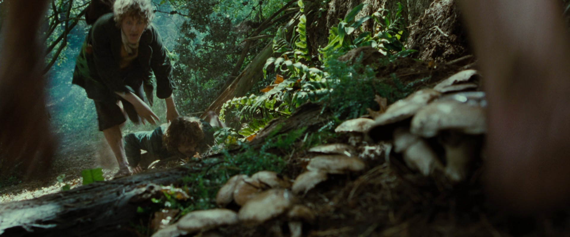 The Lord of the Rings: The Fellowship of the Ring (2001) movie still 6121