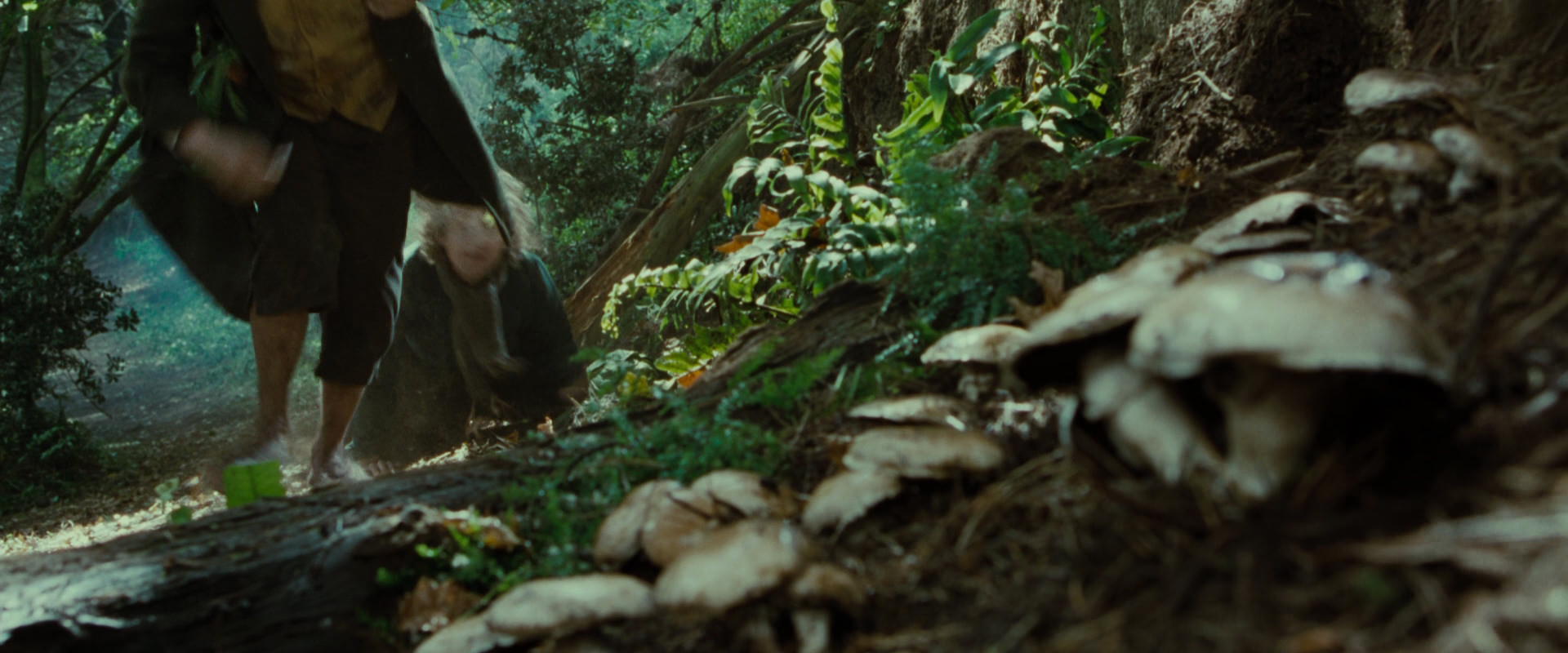 The Lord of the Rings: The Fellowship of the Ring (2001) HD screenshot 6122