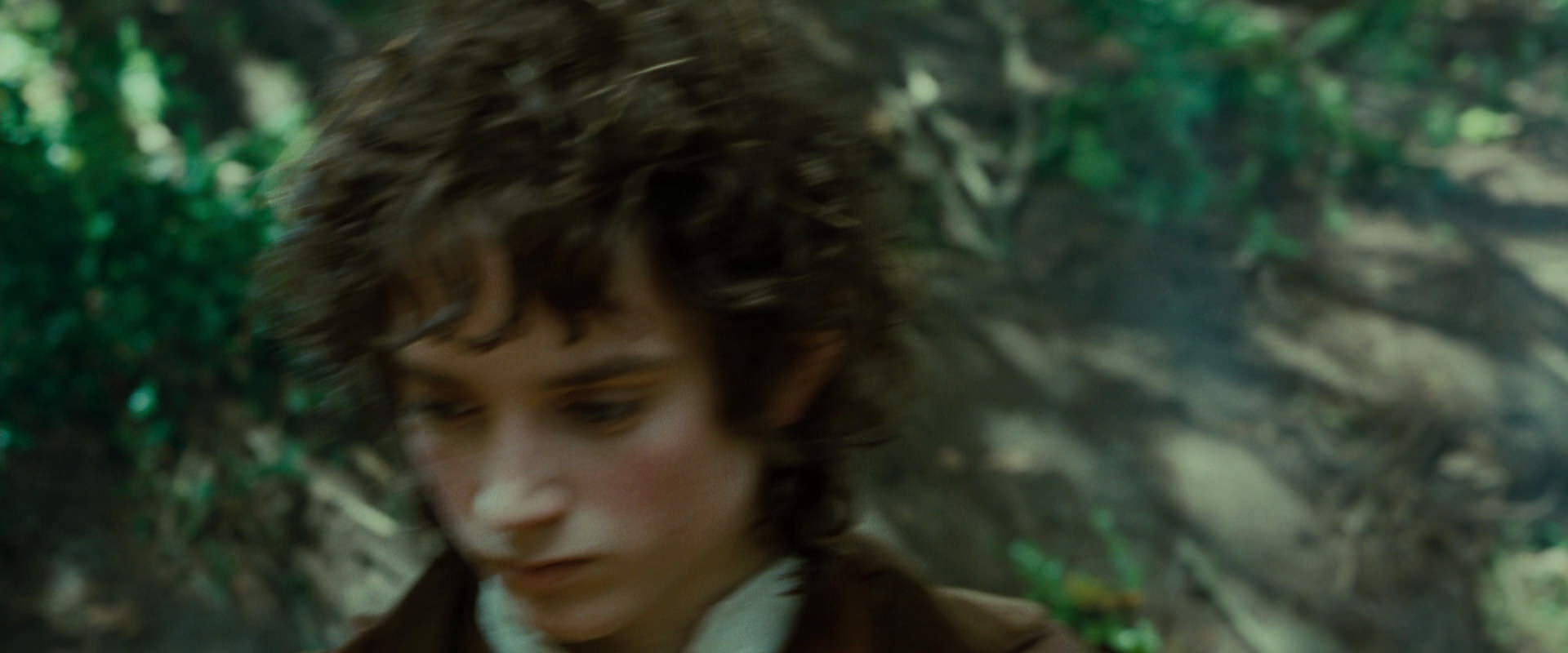 The Lord of the Rings: The Fellowship of the Ring (2001) screencap 6123