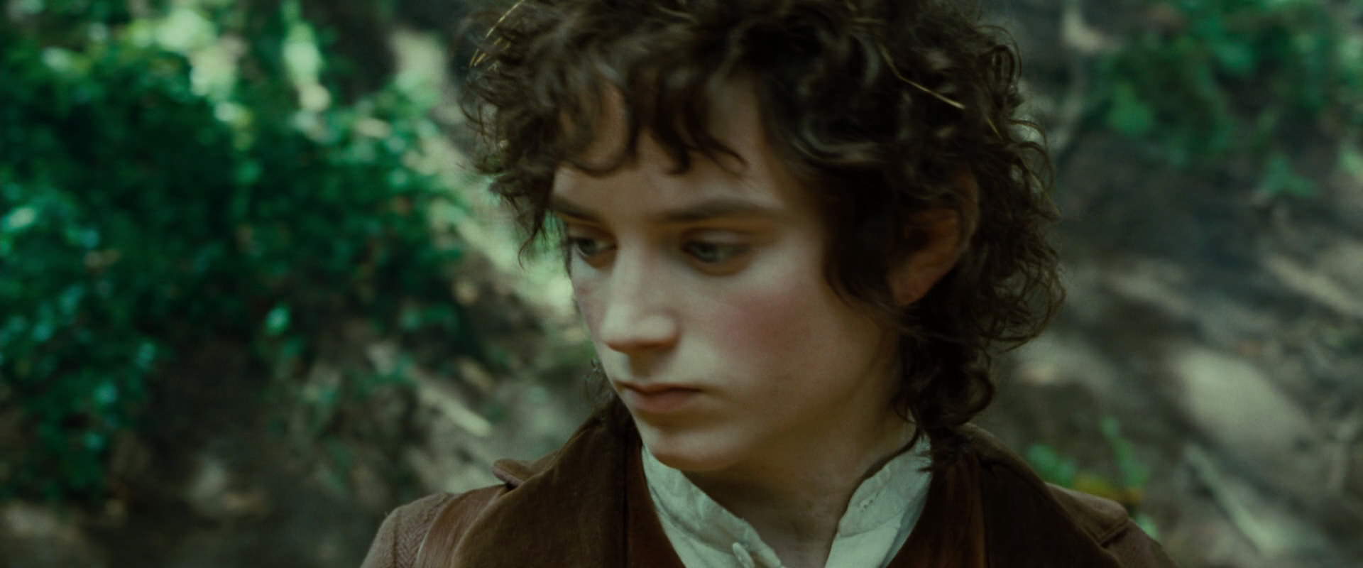 The Lord of the Rings: The Fellowship of the Ring (2001) movie still 6124
