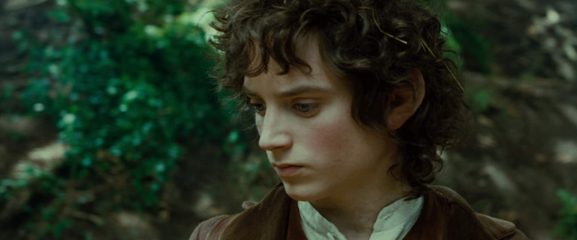 The Lord of the Rings: The Fellowship of the Ring (2001) HD screenshot 6125