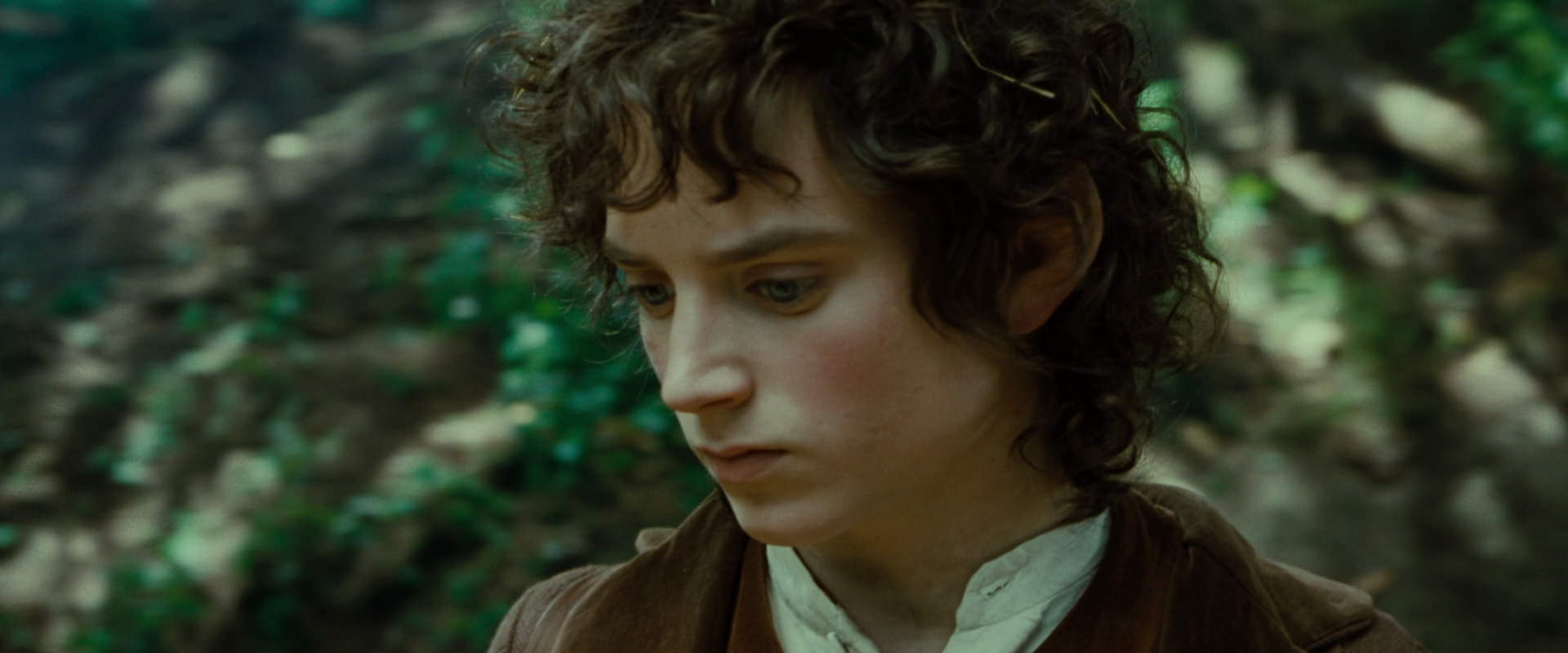 The Lord of the Rings: The Fellowship of the Ring (2001) screencap 6126